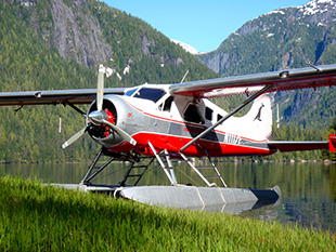 Island Wings' aircraft - Lady Esther - flightseeing in Ketchikan.